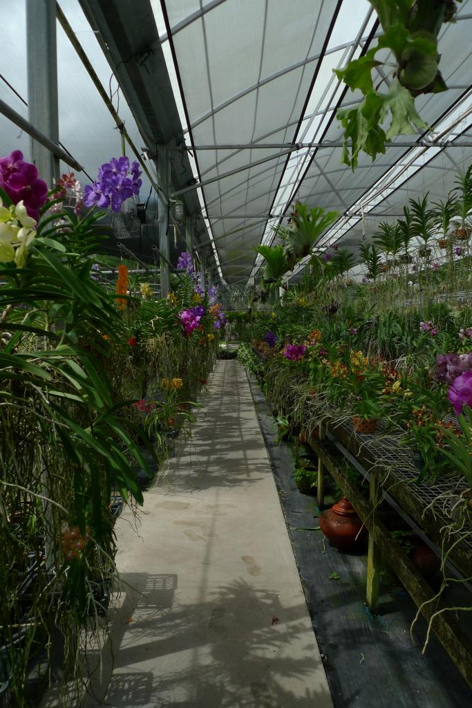 vanda farm
