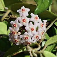 2f3d0a04 8217 472d 8644 79989fb15c5b