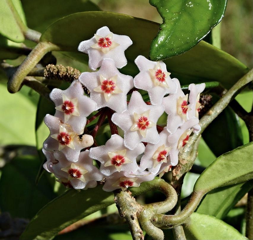 2f3d0a04 8217 472d 8644 79989fb15c5b