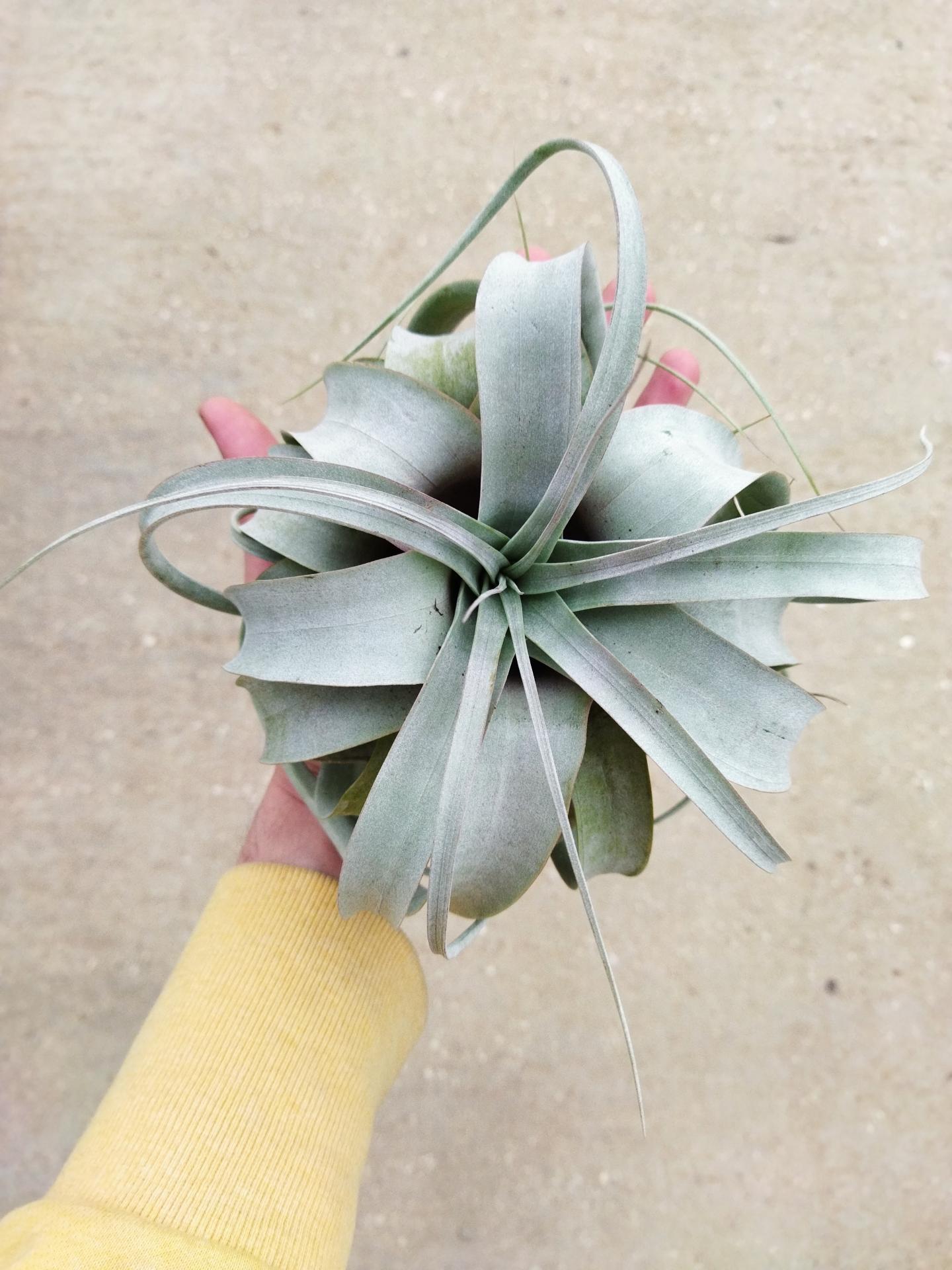 Img 20220527 094516 1