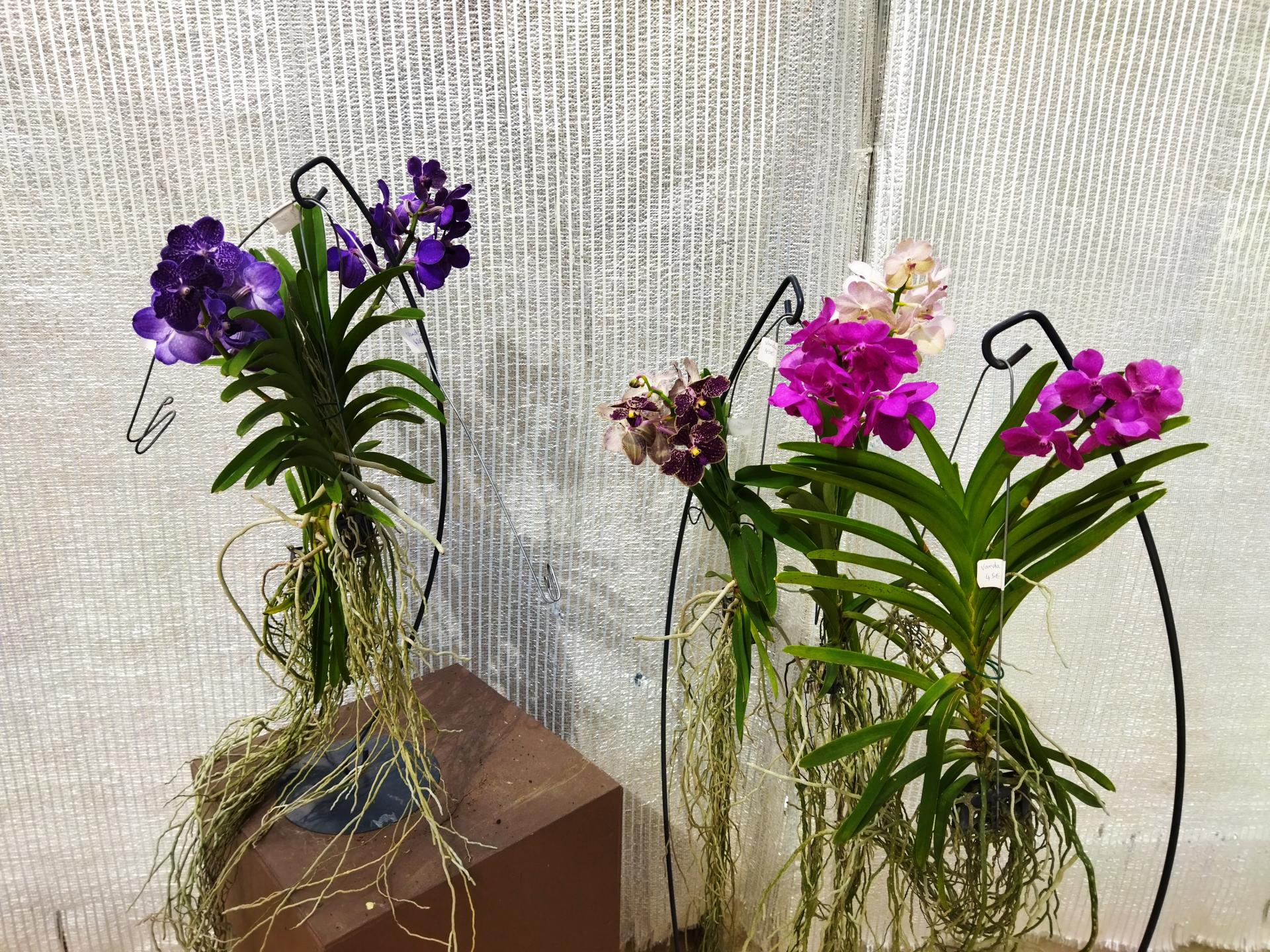Img 20220911 125447