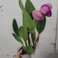 Img 20230322 wa0006