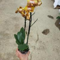 Img 20230611 163214
