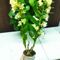 Img 20230614 053627