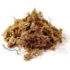 Sphaigne 1kg