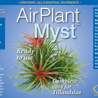 Air plant myst2
